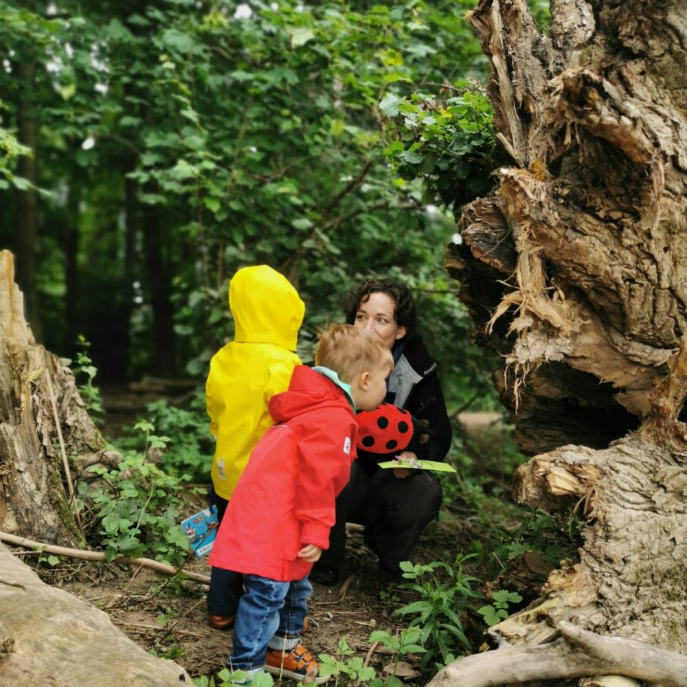 Waldgruppe_Waldwichtel_Sommer24